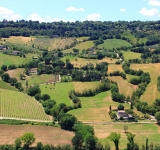 Vini Tipici dell'Umbria: Alla Scoperta della 