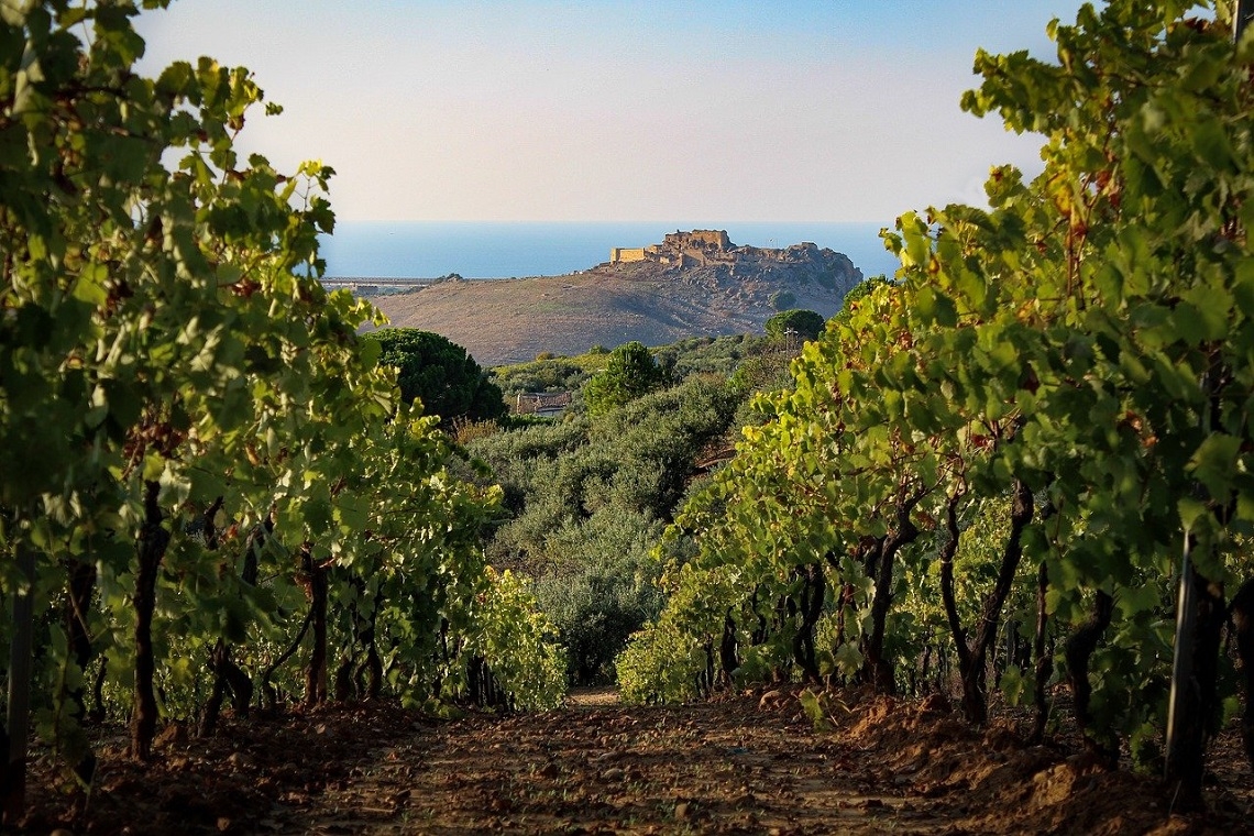 La Storia e l'Evoluzione dei Vini Siciliani